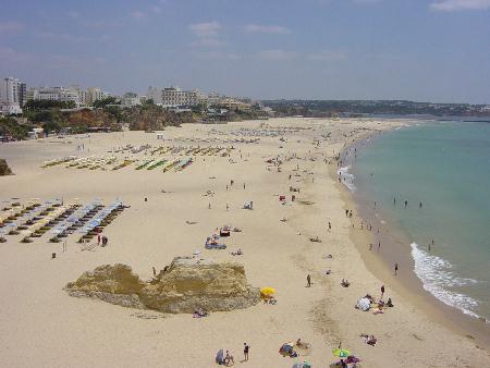 DSC00066.JPG (23.3 KB)